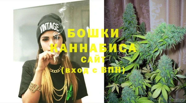 PSILOCYBIN Новодвинск