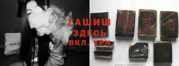 PSILOCYBIN Новодвинск