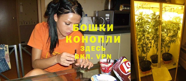 Альфа ПВП Новокубанск
