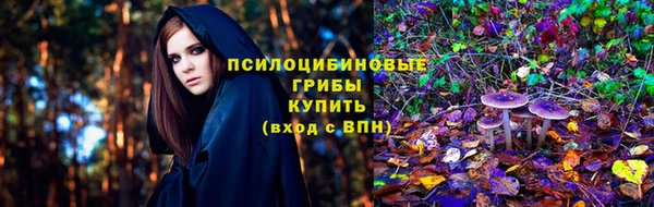 Альфа ПВП Новокубанск