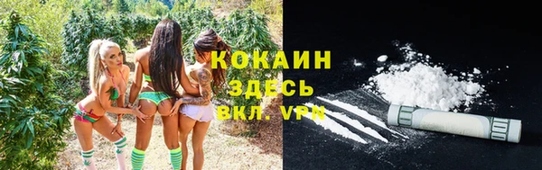 молекула духа Абинск