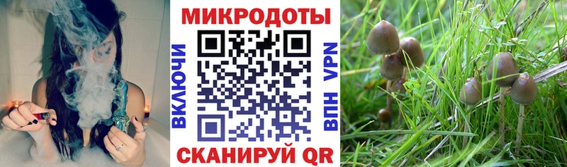 Галлюциногенные грибы ЛСД Белая Калитва
